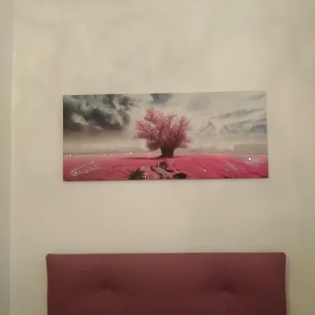 Narciso Apartmán *